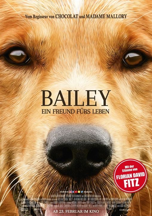 Bailey - Ein Freund fürs Leben : Kinoposter