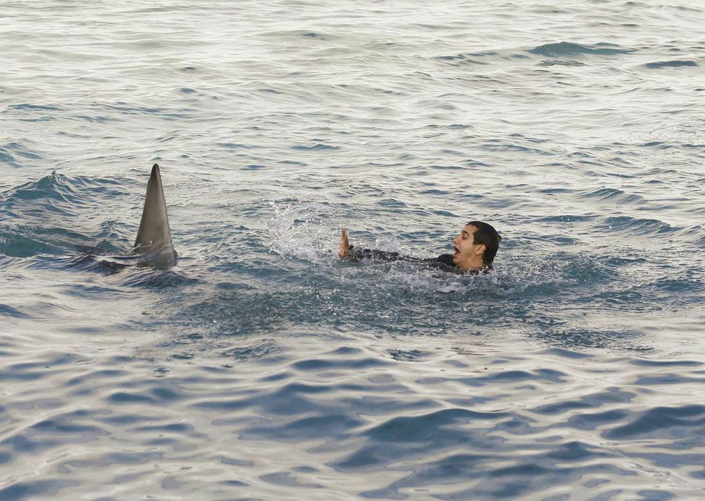 Scorpion : Bild Elyes Gabel