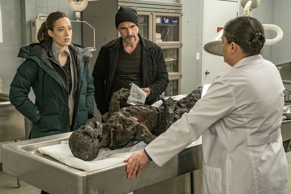 Chicago PD : Bild Marina Squerciati, Elias Koteas