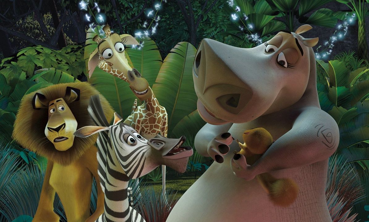 Madagascar : Bild