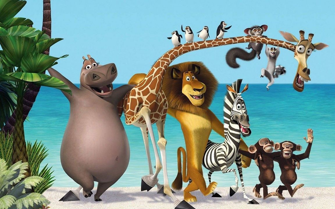 Madagascar : Bild