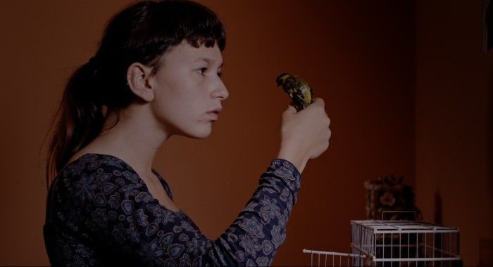 Colo : Bild Alice Albergaria Borges