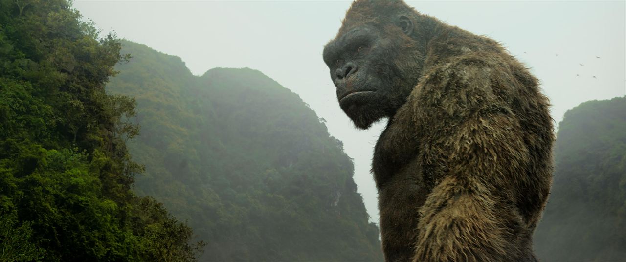 Kong: Skull Island : Bild