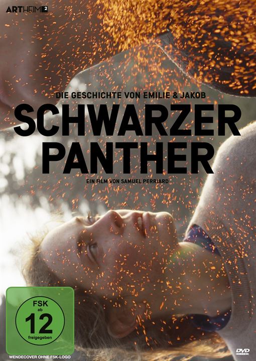 Schwarzer Panther : Kinoposter
