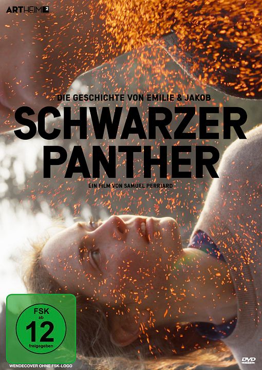 Schwarzer Panther : Kinoposter