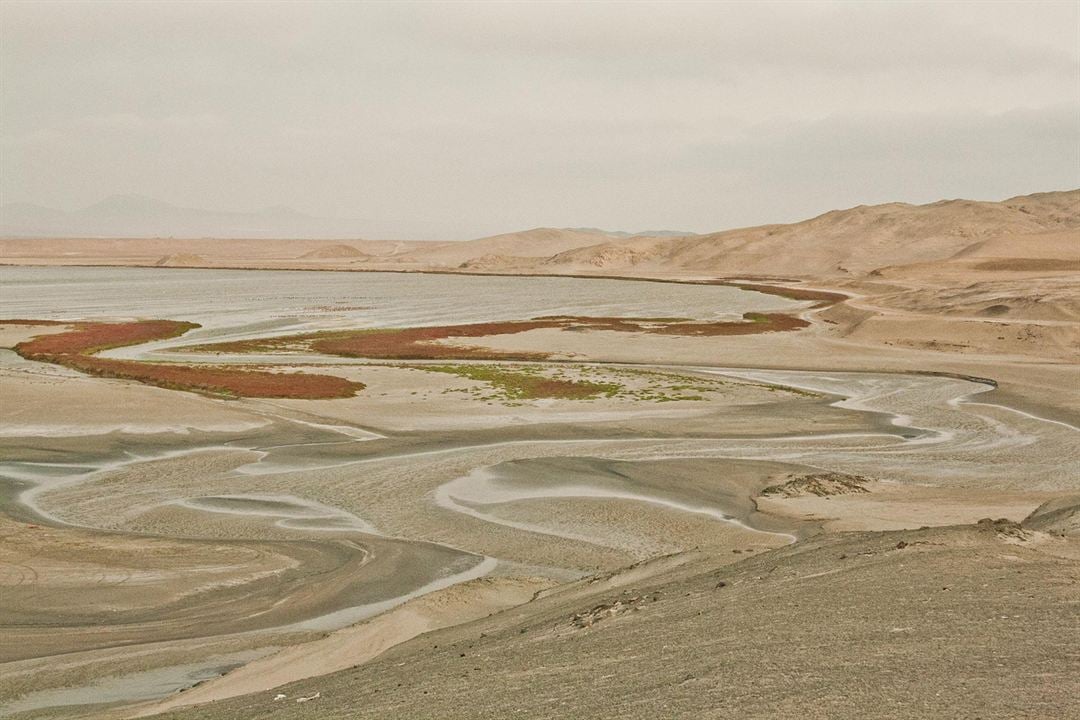 El sueño de Antonio Raimondi: El Perú : Bild