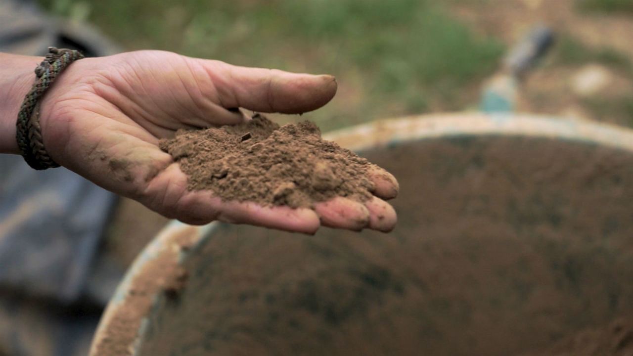 L'éveil de la permaculture : Bild