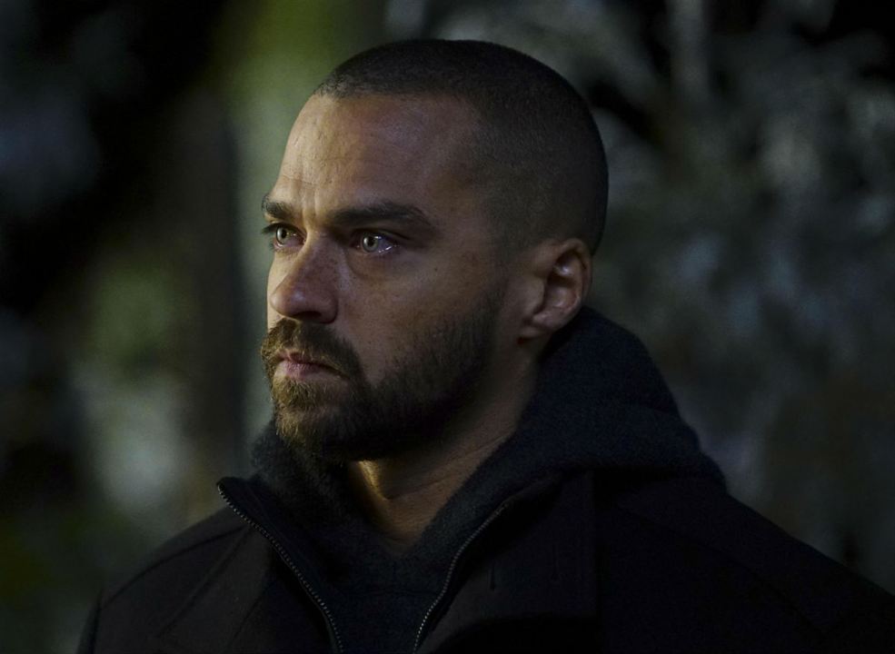 Grey's Anatomy - Die jungen Ärzte : Bild Jesse Williams