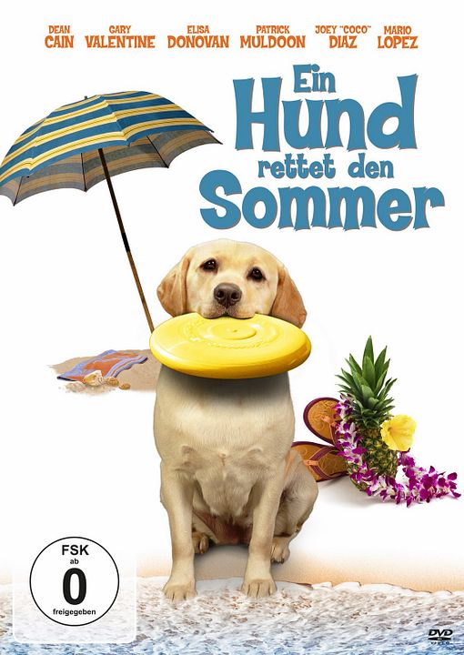 Ein Hund rettet den Sommer : Kinoposter