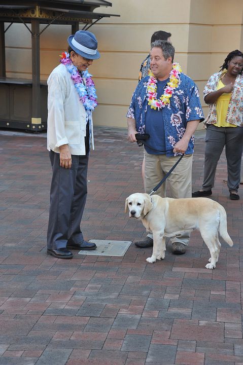 Ein Hund rettet den Sommer : Bild