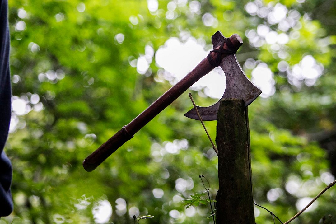 Viking Legacy : Bild