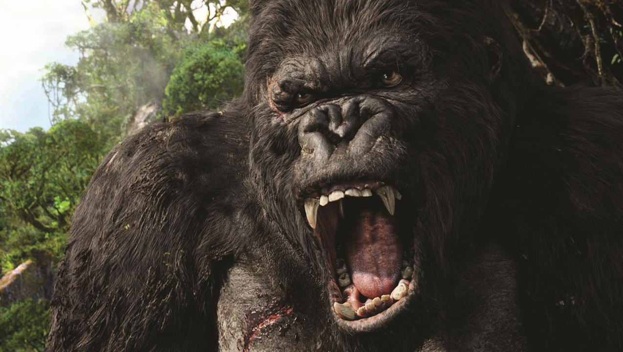 King Kong : Bild