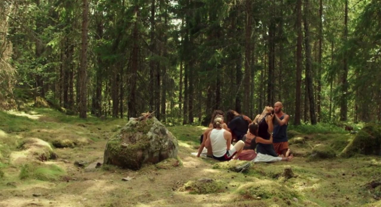 The Swedish Theory of Love : Bild