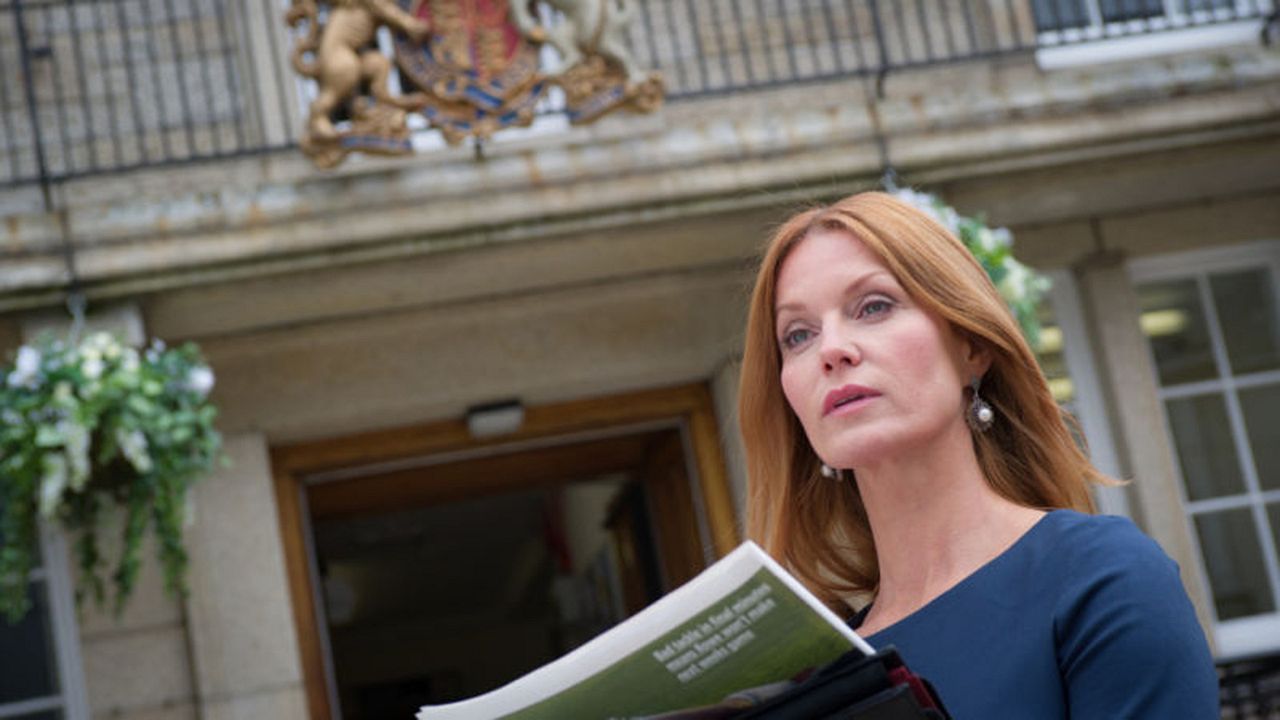 Rosamunde Pilcher: Anwälte küsst man nicht : Bild