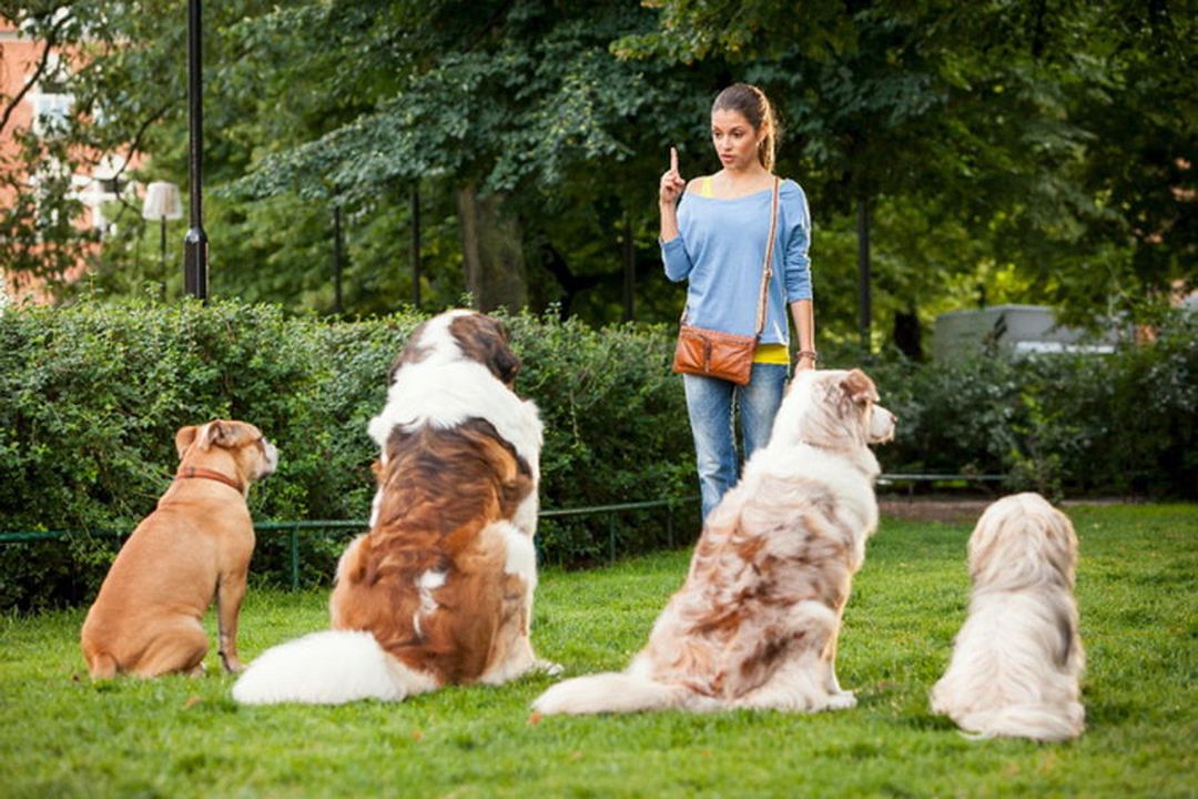 Inga Lindström: Die Sache mit der Liebe : Bild