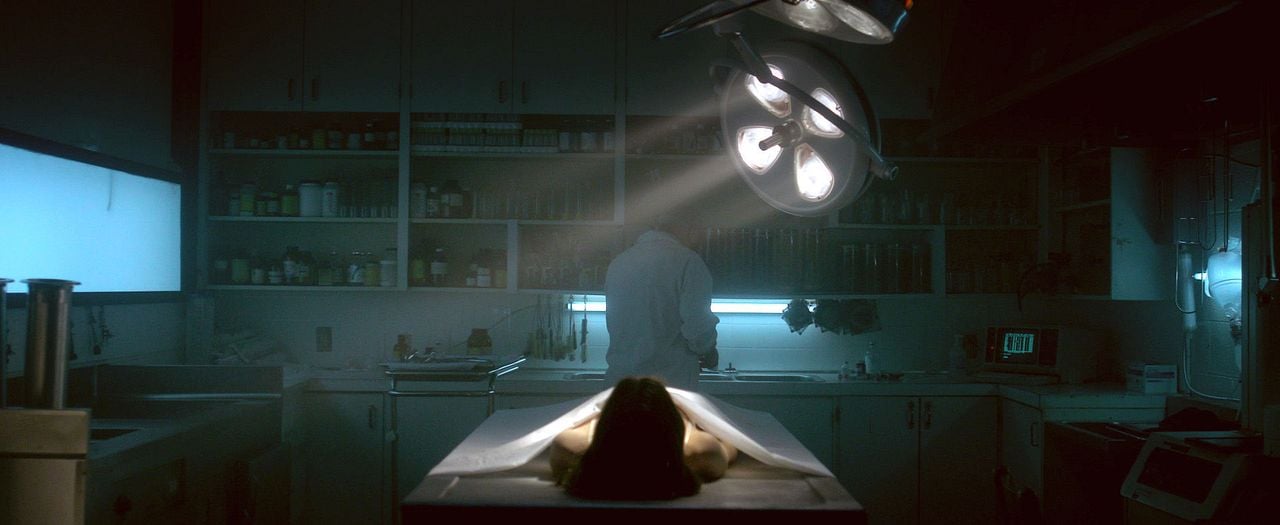 The Void - Es gibt eine Hölle. Dies hier ist schlimmer. : Bild