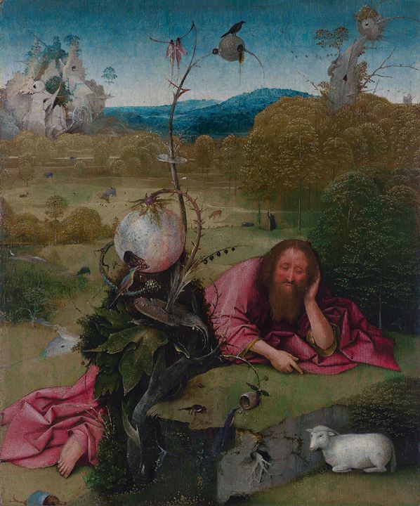 Die wundersame Welt des Hieronymus Bosch : Bild