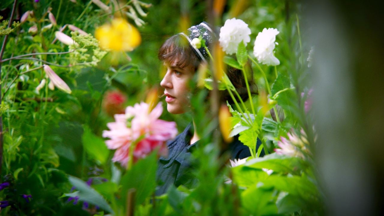 Der wunderbare Garten der Bella Brown : Bild Jessica Brown Findlay