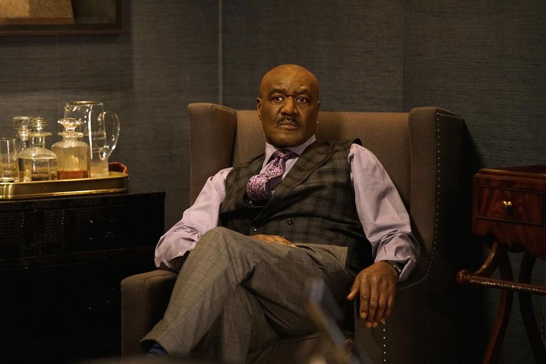 The Good Fight : Bild Delroy Lindo