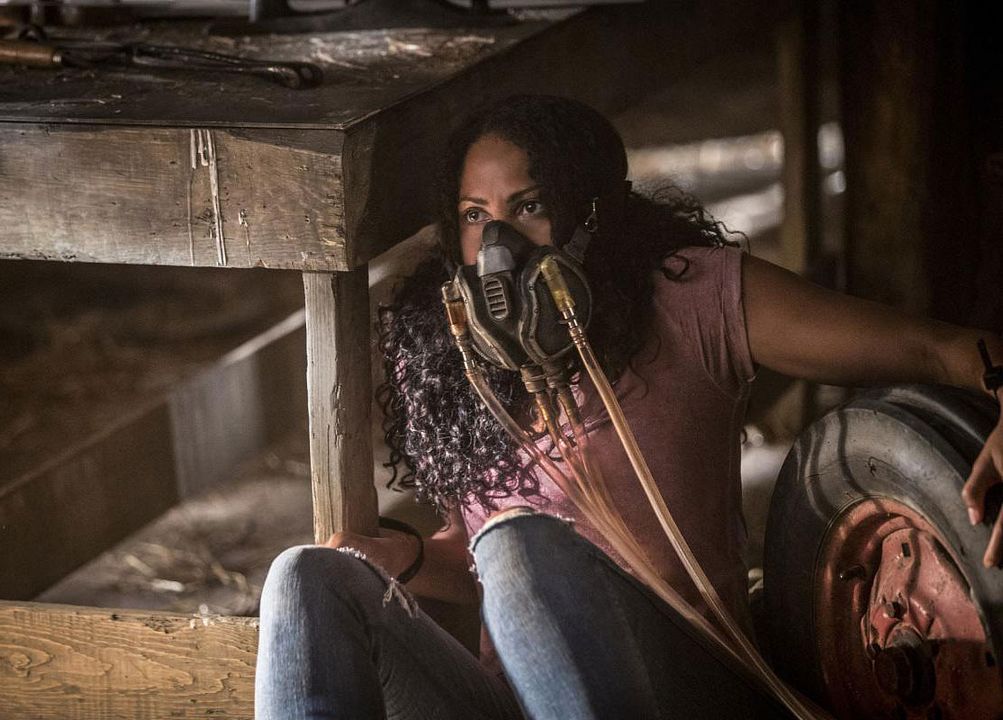 The Originals : Bild Christina Moses