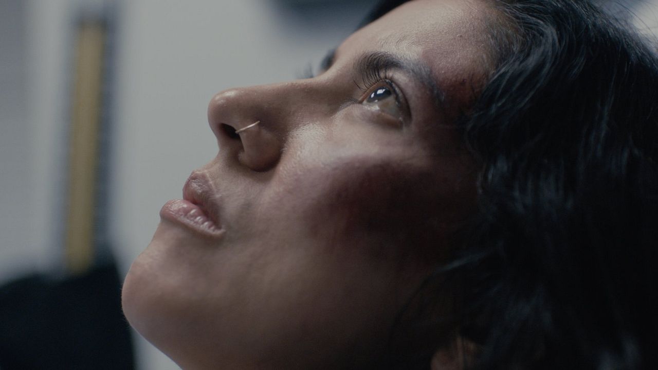 The Light of the Moon : Bild