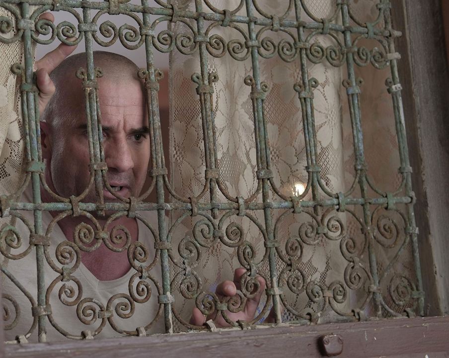 Prison Break : Bild Dominic Purcell