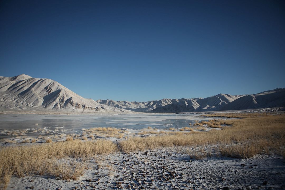 The Eagle Huntress : Bild