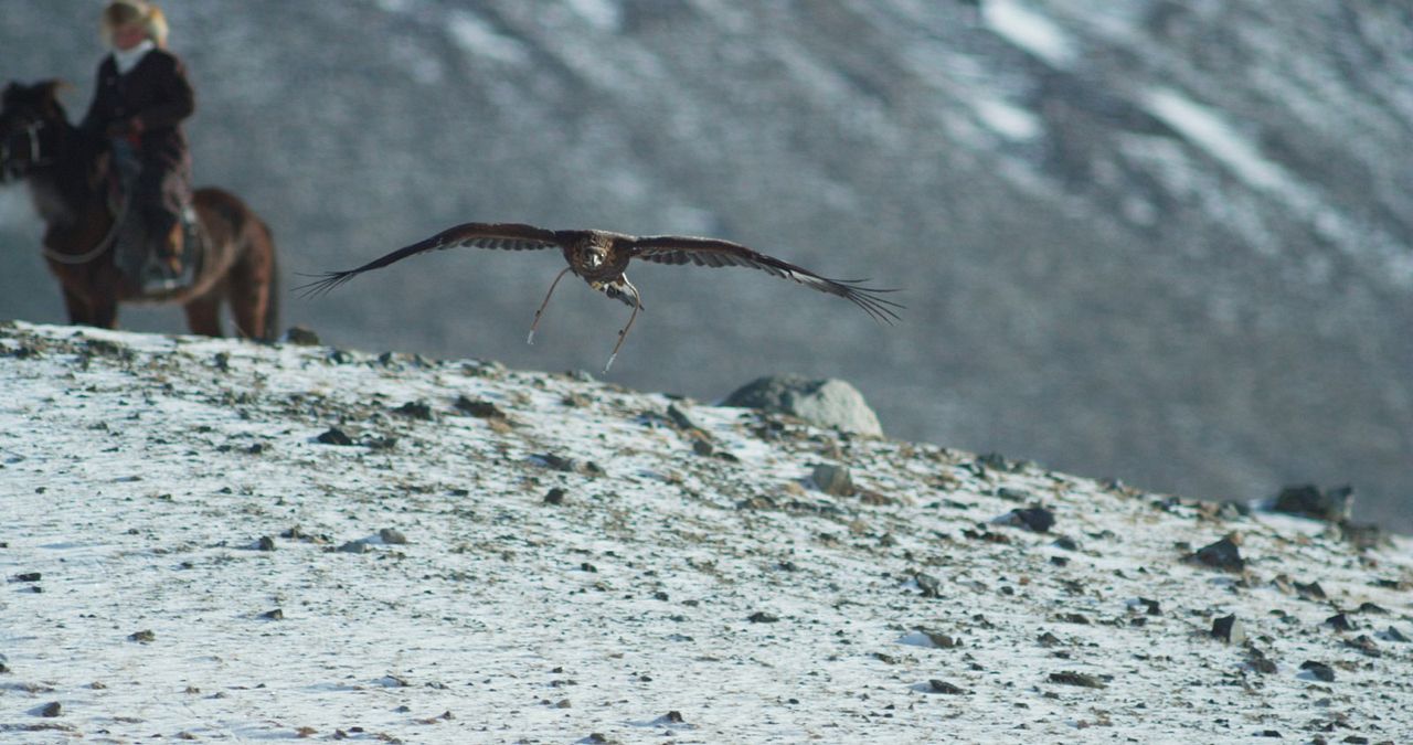 The Eagle Huntress : Bild