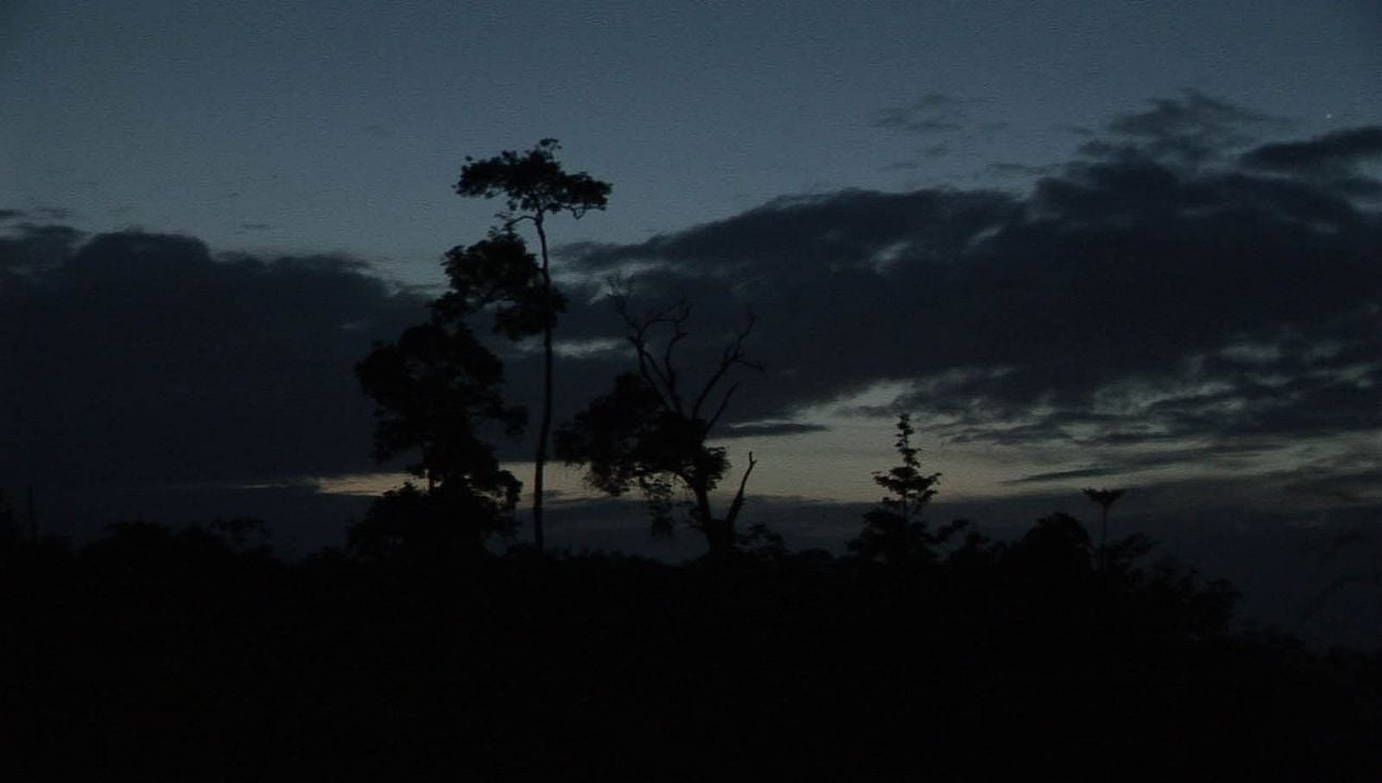 Rencontres en Guyane : Bild