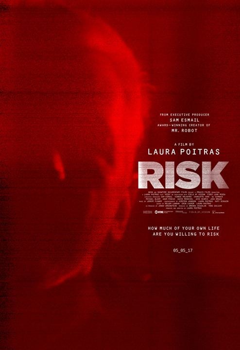 Risk : Kinoposter