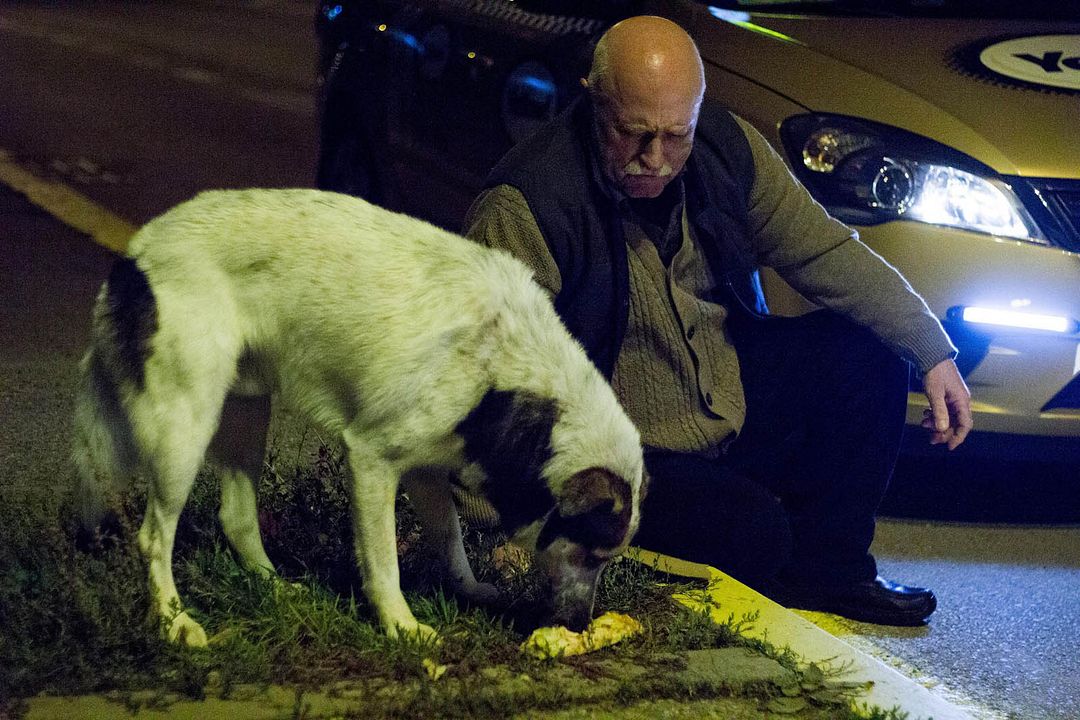 Directions - Geschichten einer Nacht : Bild