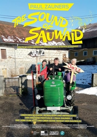 Paul Zauners Sound of Sauwald : Kinoposter