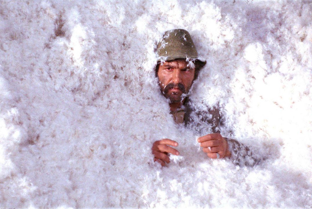 Ich traf sogar glückliche Zigeuner : Bild