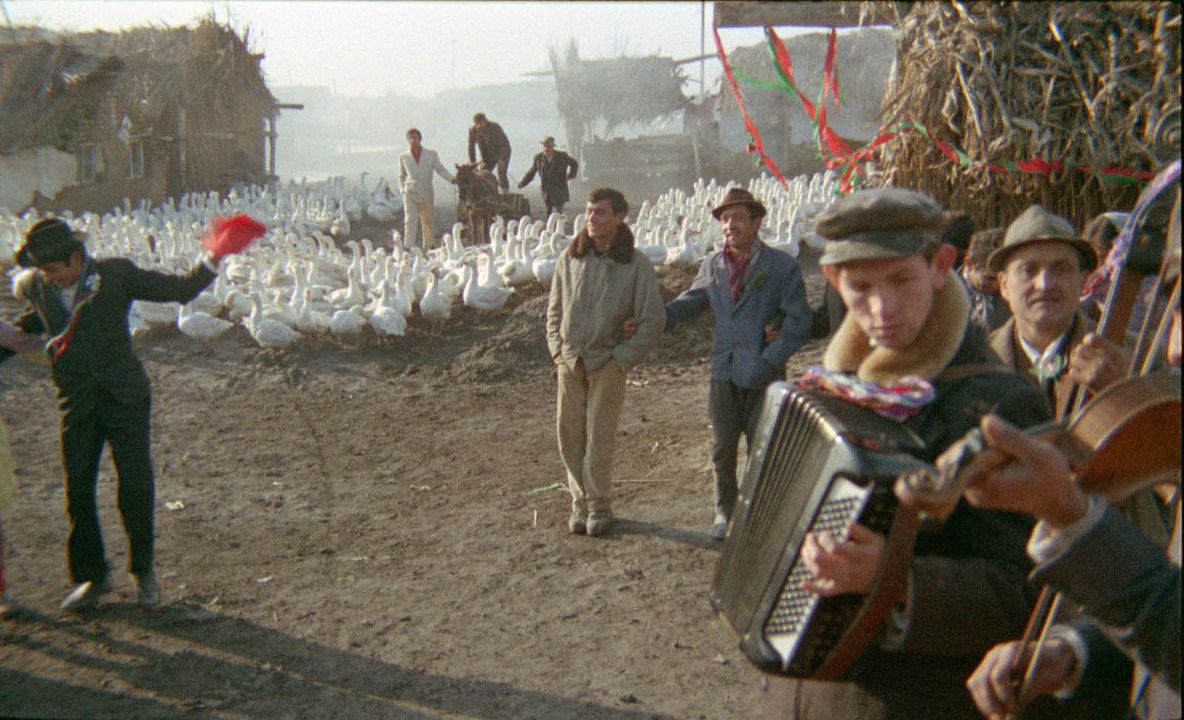 Ich traf sogar glückliche Zigeuner : Bild