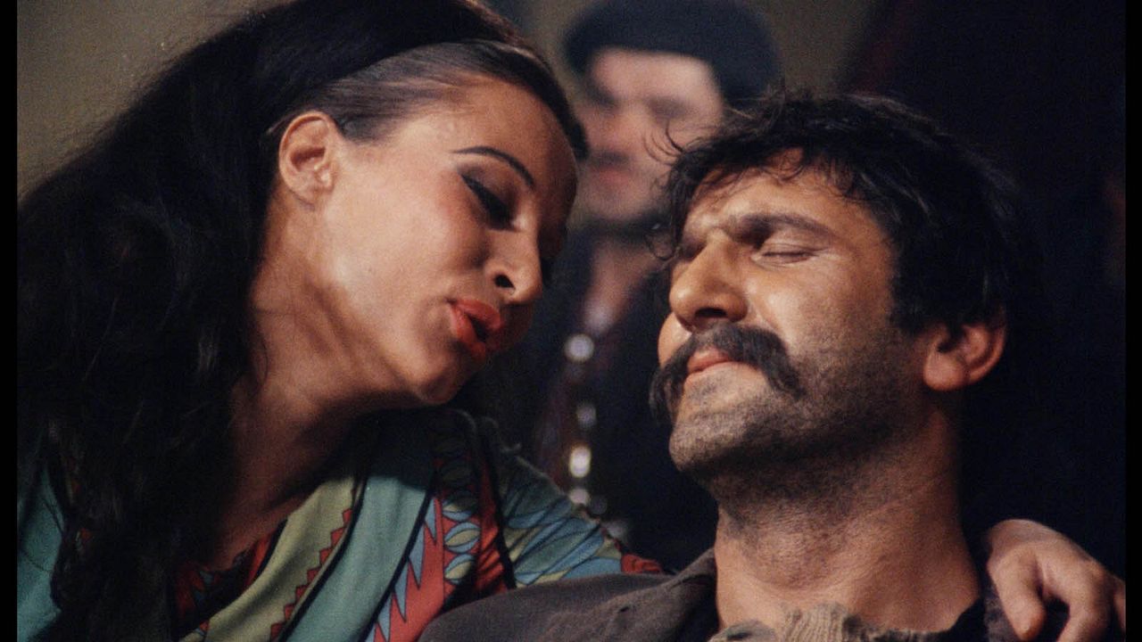 Ich traf sogar glückliche Zigeuner : Bild