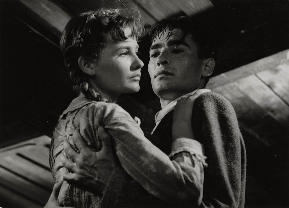 Bild Mari Töröcsik