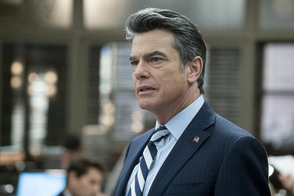 Law & Order: Special Victims Unit : Bild Peter Gallagher