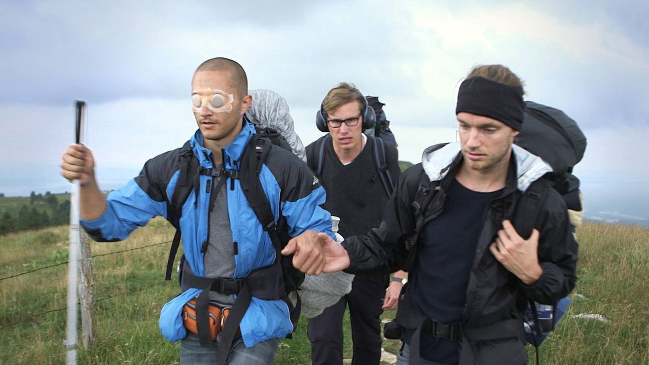 Drei von Sinnen : Bild