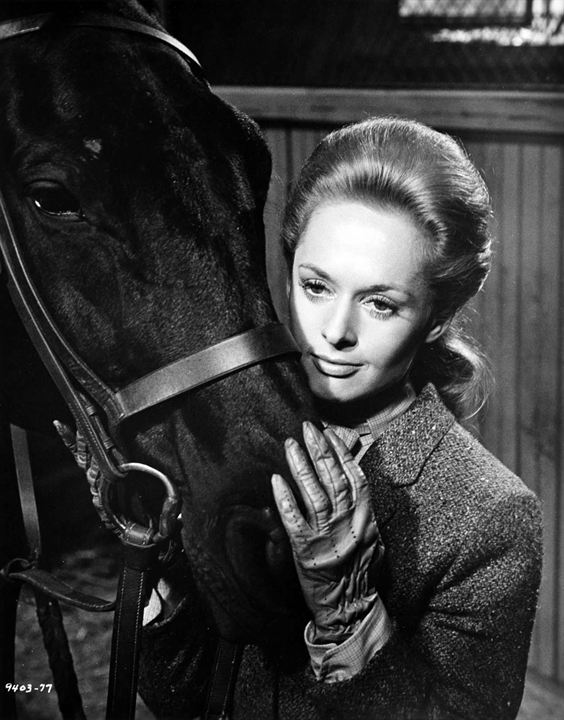 Marnie : Bild Tippi Hedren