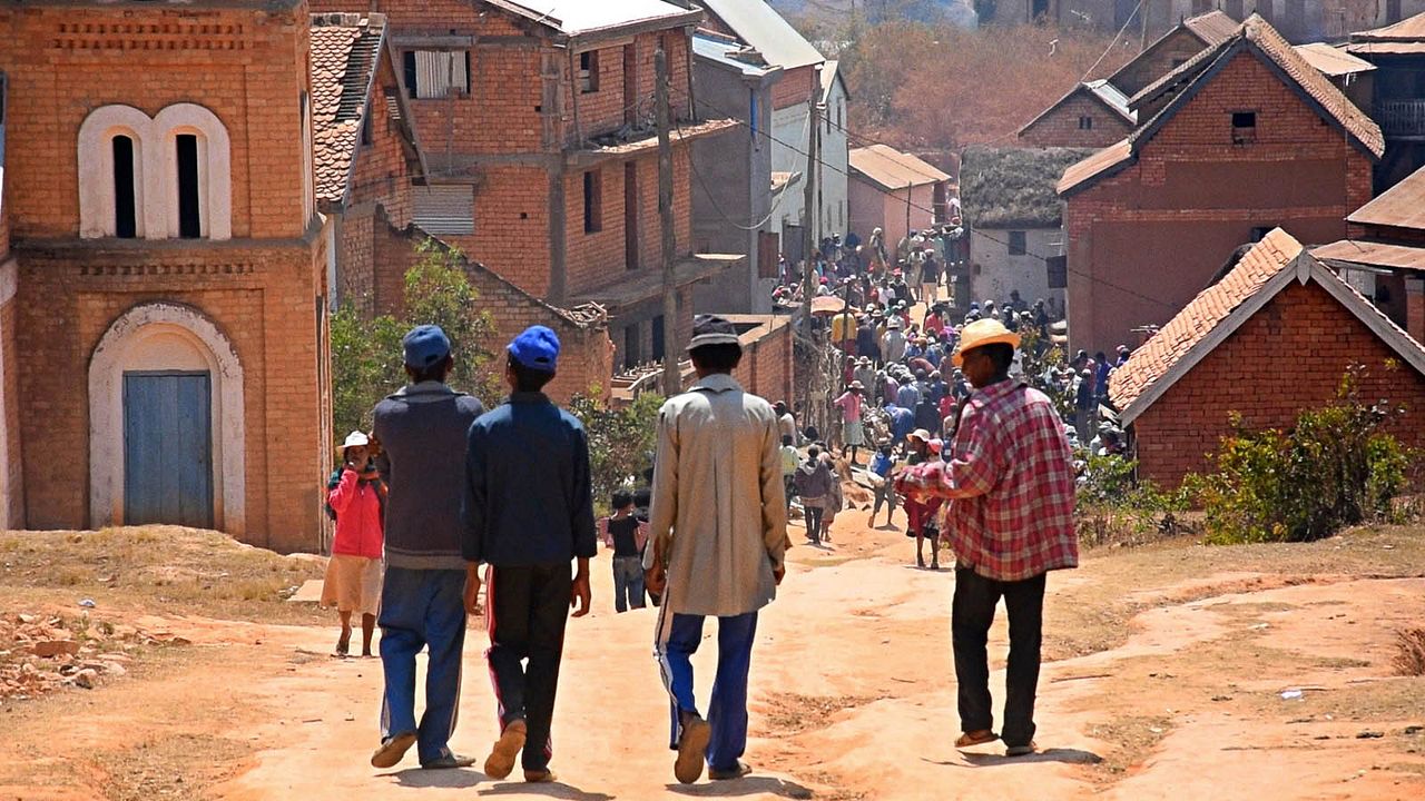 Songs for Madagascar : Bild