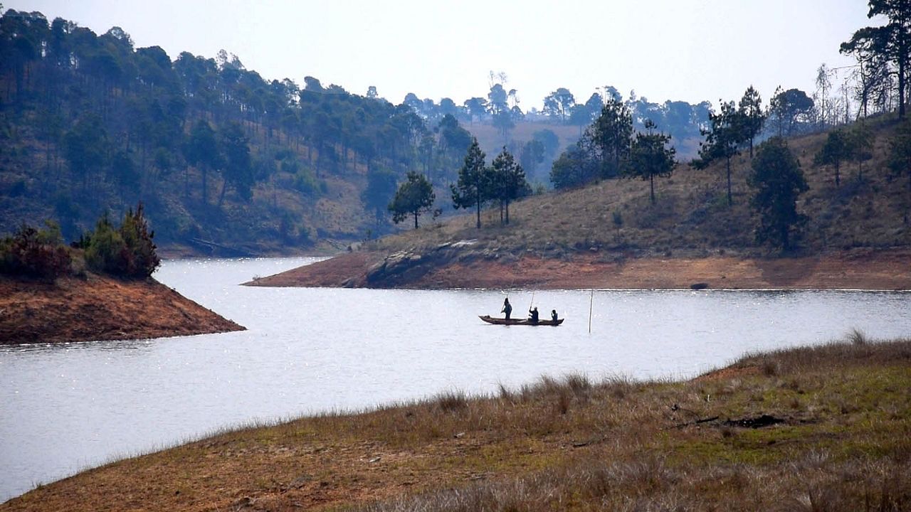 Songs for Madagascar : Bild