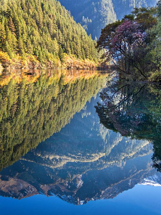 Born In China : Bild