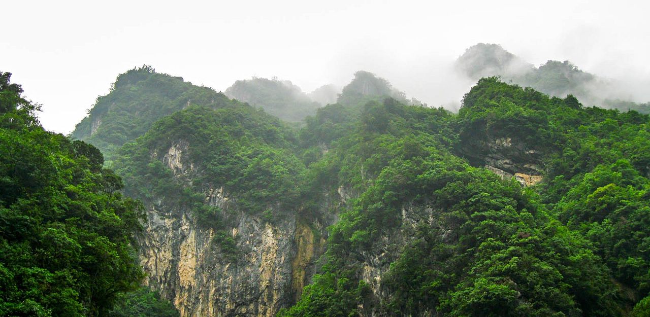 Born In China : Bild