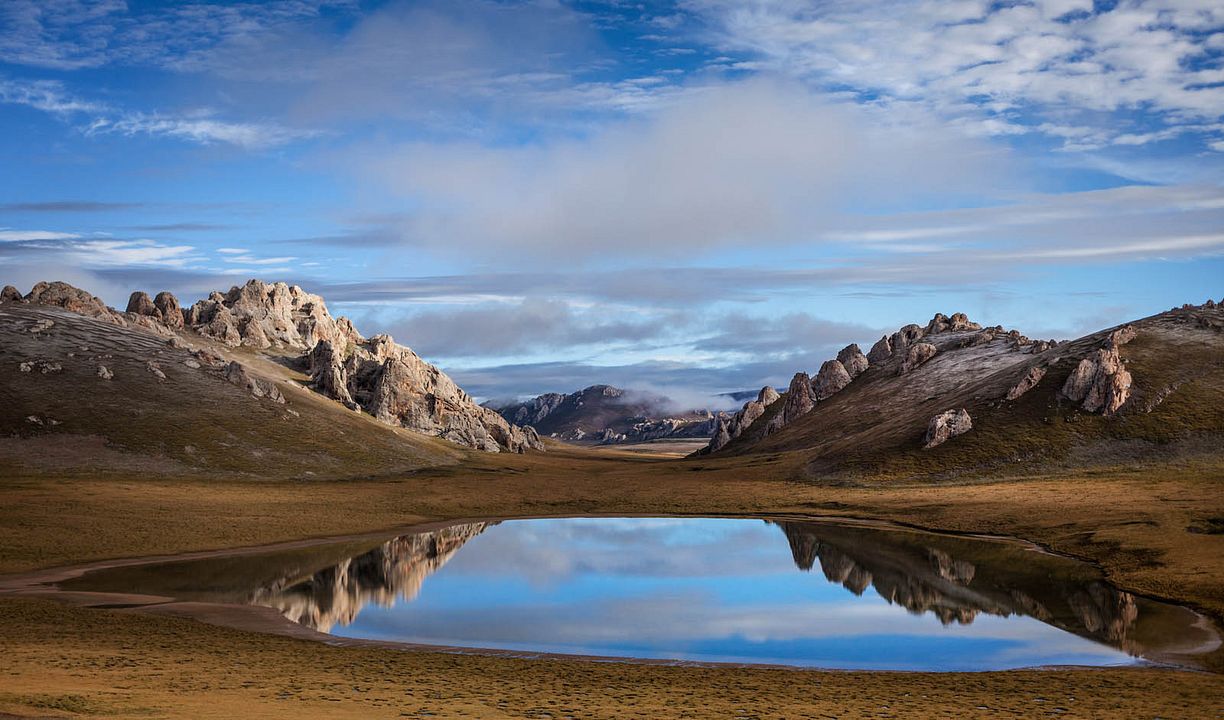 Born In China : Bild