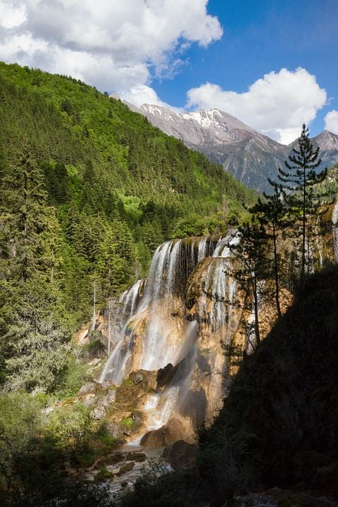 Born In China : Bild