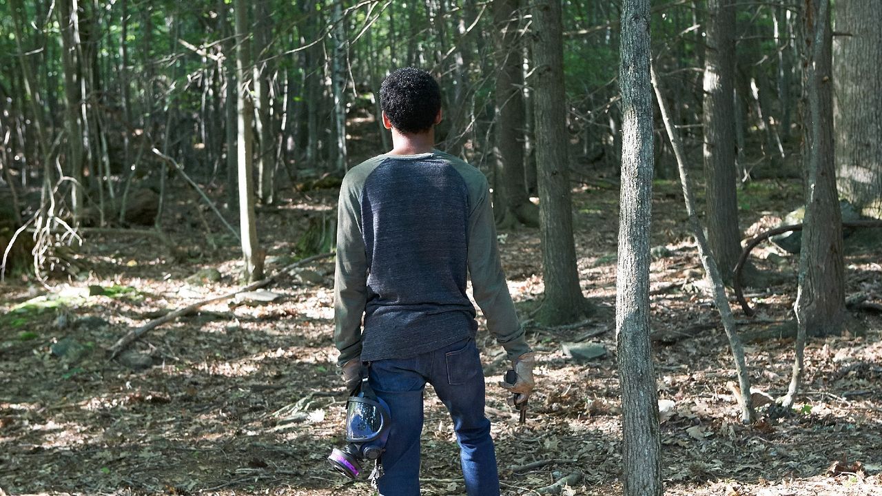 It Comes At Night : Bild