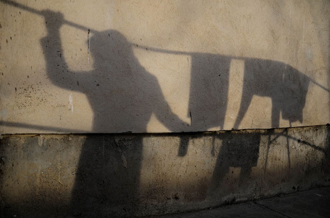 Royahaye Dame Sobh : Bild