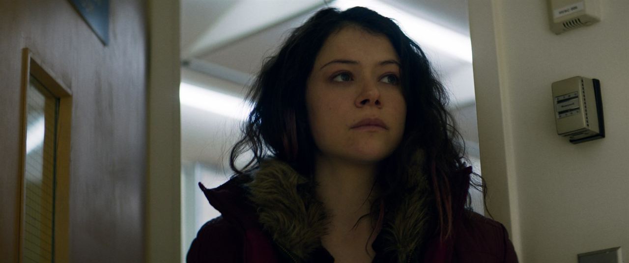 Rendezvous mit einem Eisbär : Bild Tatiana Maslany