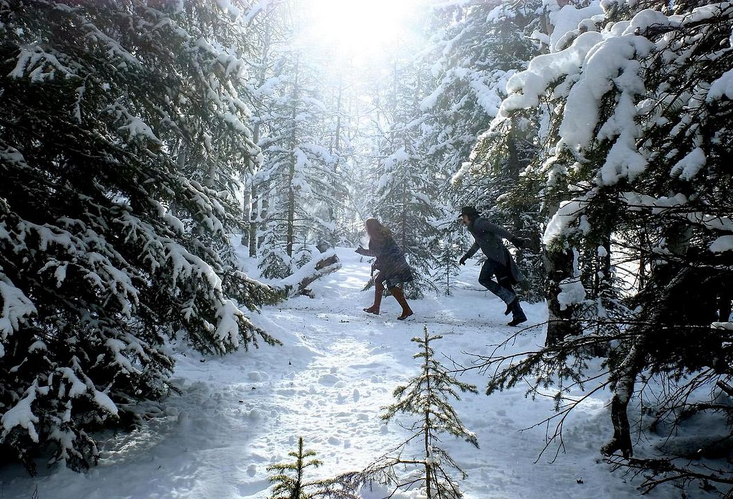 Wynonna Earp : Bild Tim Rozon