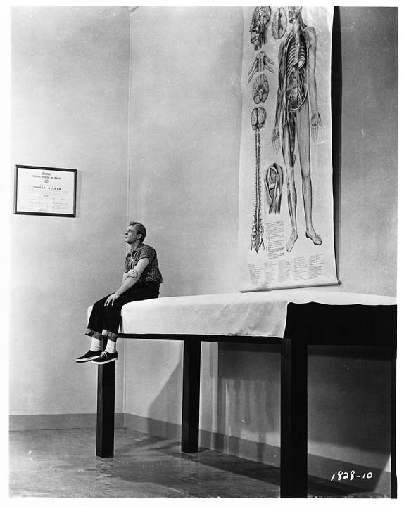 Die unglaubliche Geschichte des Mister C. : Bild Grant Williams